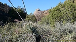 photo thumbnail #14