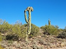 photo thumbnail #15