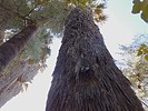 photo thumbnail #15
