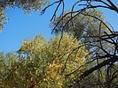 photo thumbnail #10