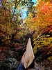 photo thumbnail #10