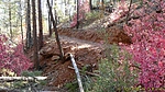 photo thumbnail #15