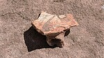 photo thumbnail #12