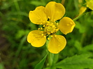 photo thumbnail #3