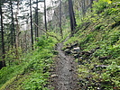 photo thumbnail #7