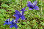 photo thumbnail #8