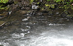 photo thumbnail #15
