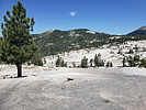 photo thumbnail #6