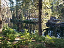 photo thumbnail #13