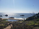 photo thumbnail #1