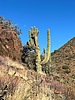 photo thumbnail #5