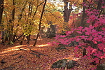 photo thumbnail #15