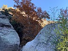 photo thumbnail #4