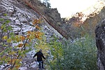 photo thumbnail #6
