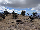 photo thumbnail #11