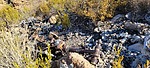 photo thumbnail #6