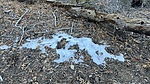 photo thumbnail #6