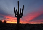 photo thumbnail #6