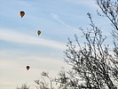photo thumbnail #15