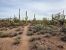 photo thumbnail #5