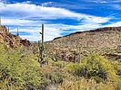 photo thumbnail #13