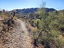 photo thumbnail #7