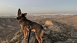 photo thumbnail #4