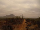 photo thumbnail #14