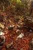 photo thumbnail #15