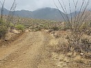 photo thumbnail #1