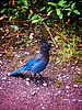 photo thumbnail #7