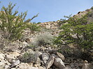 photo thumbnail #9