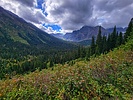photo thumbnail #6