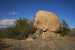 photo thumbnail #3