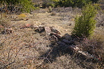 photo thumbnail #9