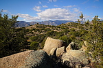 photo thumbnail #11