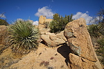 photo thumbnail #13