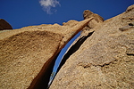 photo thumbnail #14