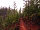 photo thumbnail #14