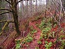 photo thumbnail #14