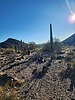 photo thumbnail #12