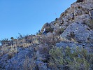 photo thumbnail #12