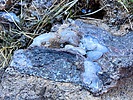 photo thumbnail #6