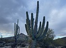 photo thumbnail #3