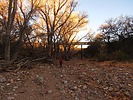 photo thumbnail #1