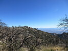 photo thumbnail #5