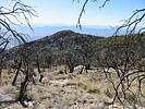 photo thumbnail #6
