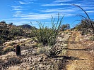 photo thumbnail #2