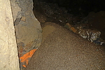 photo thumbnail #14
