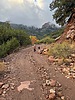 photo thumbnail #14